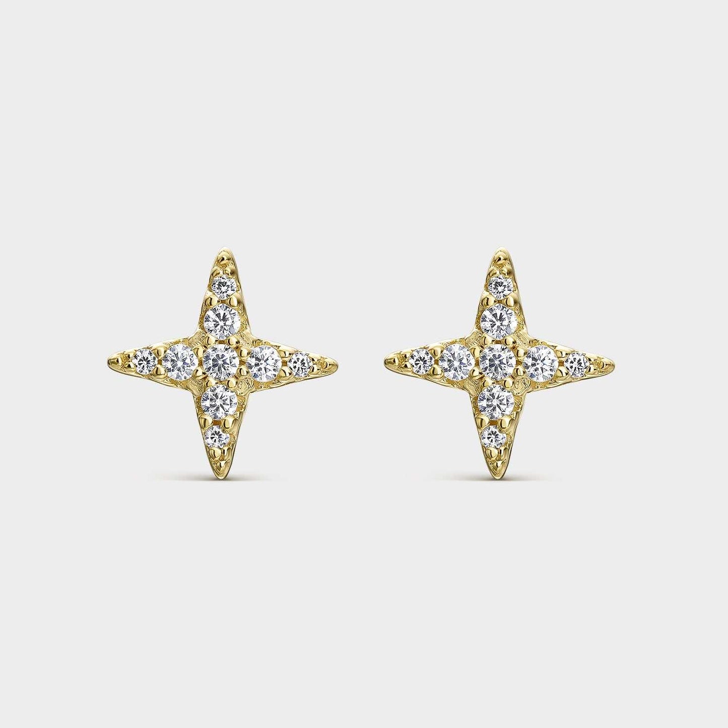 Silver Aspa Earrings with Zircons