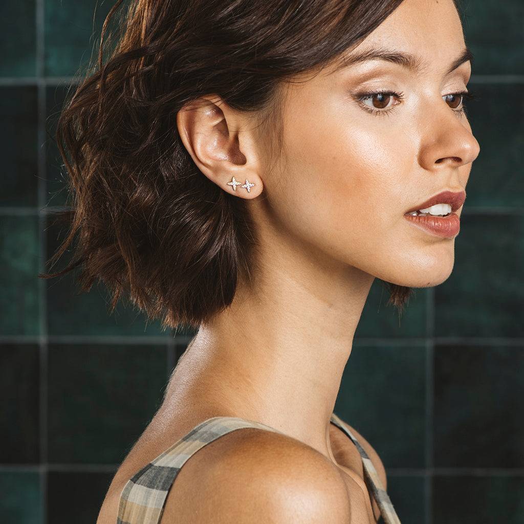 Silver Aspa Earrings with Zircons