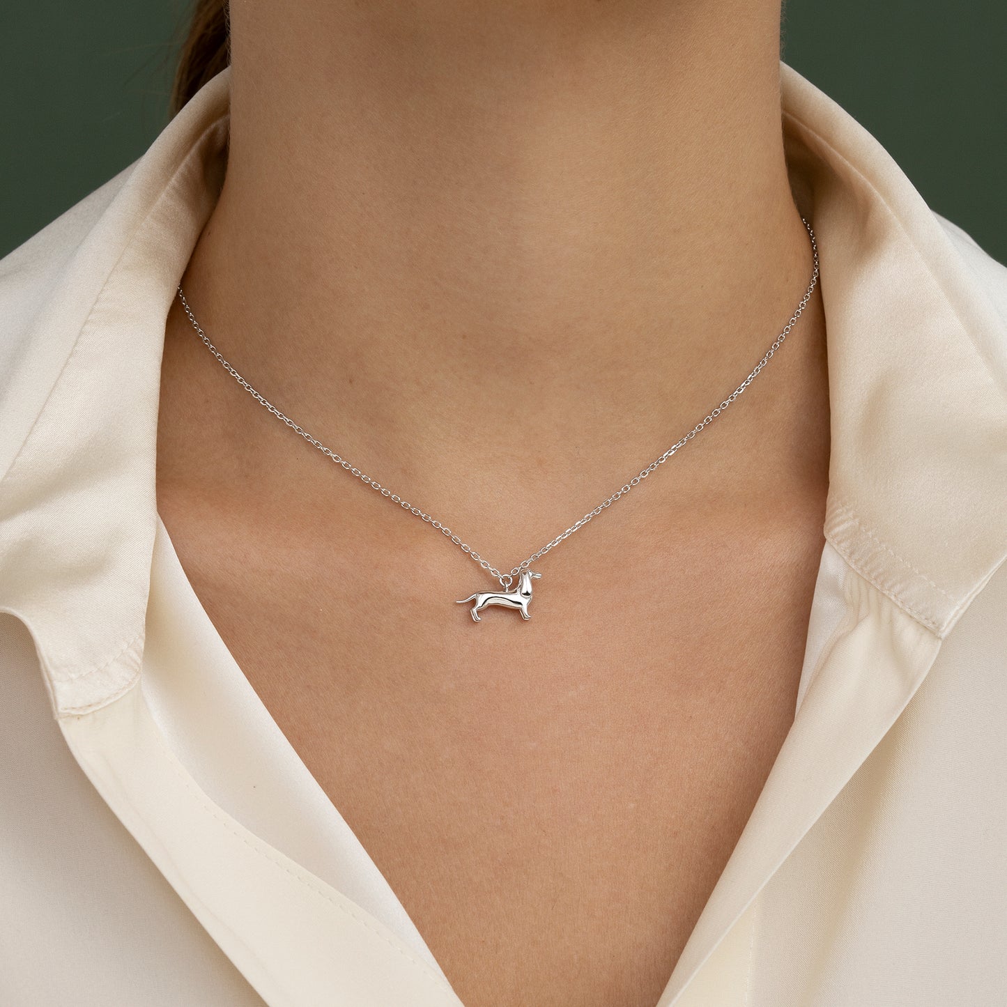 Collar de plata perro Teckel