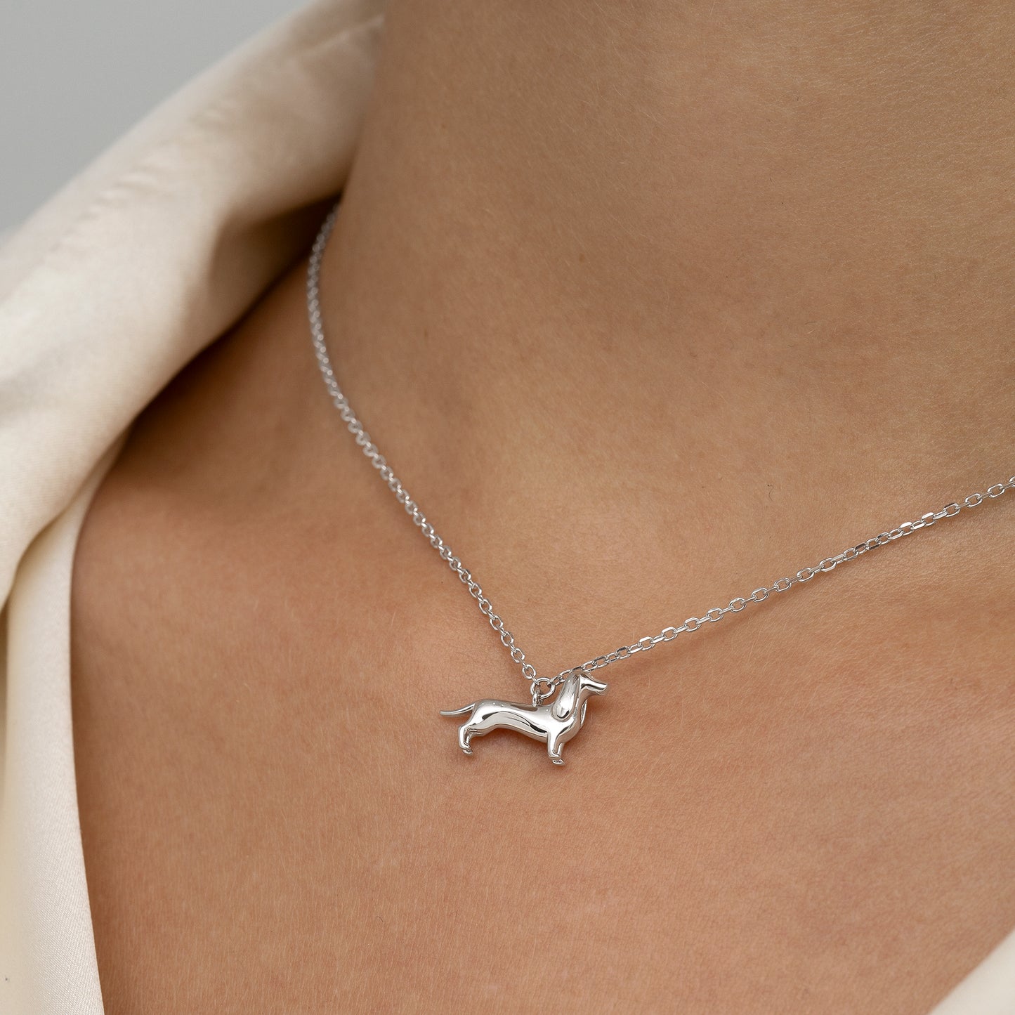 Collar de plata perro Teckel